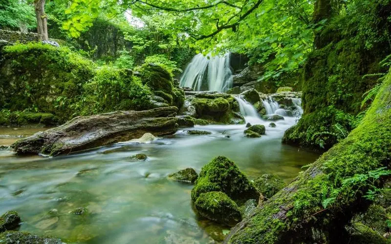 可靠性高标准科技